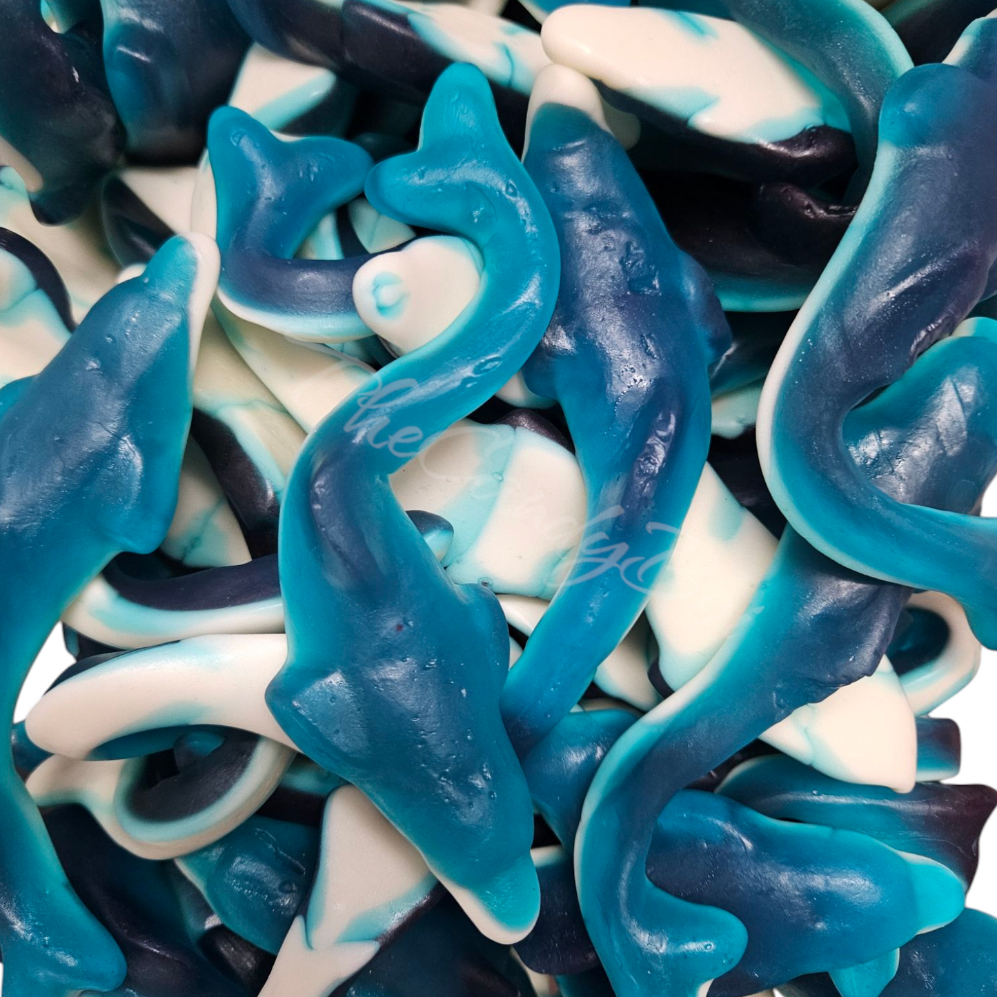 Dauphin belebelebaw (Amerika) (GF) .