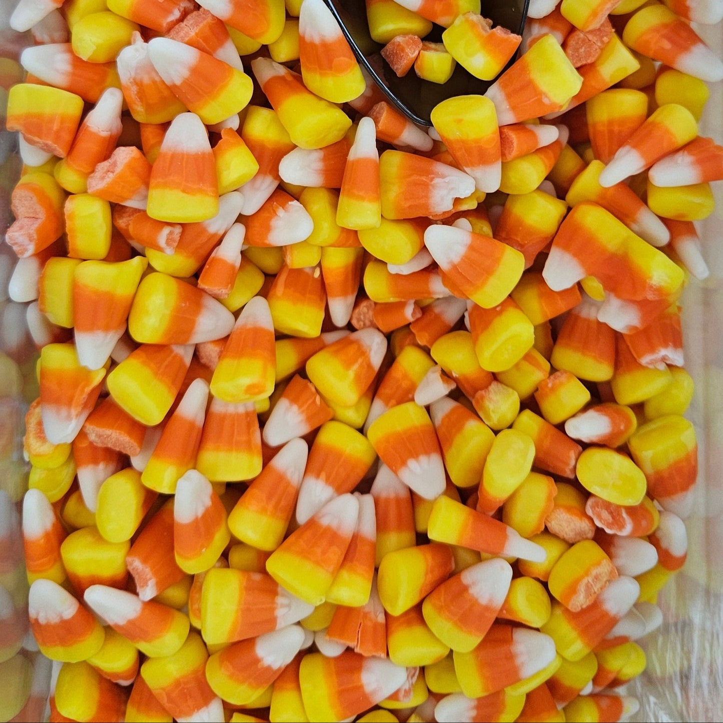 Bonbon Maison (Amerika) .