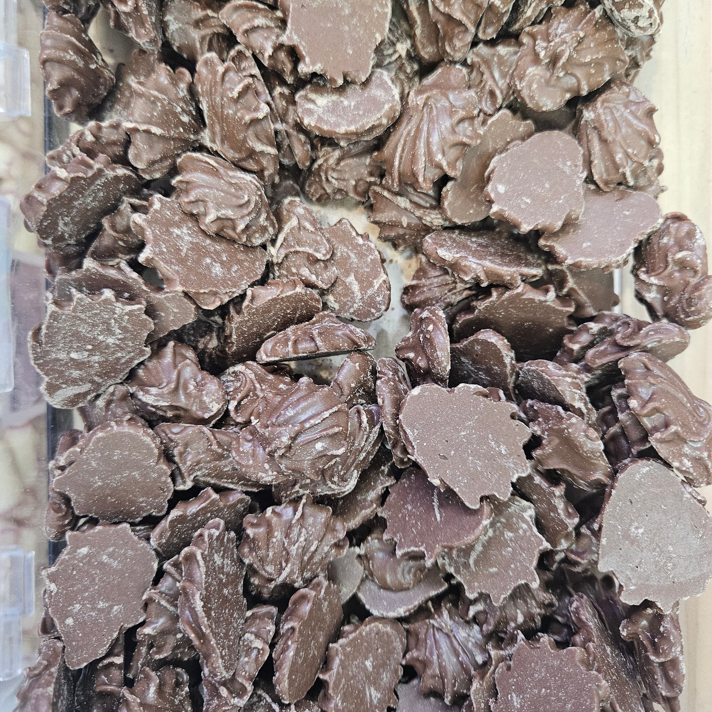 Chocolate Buds