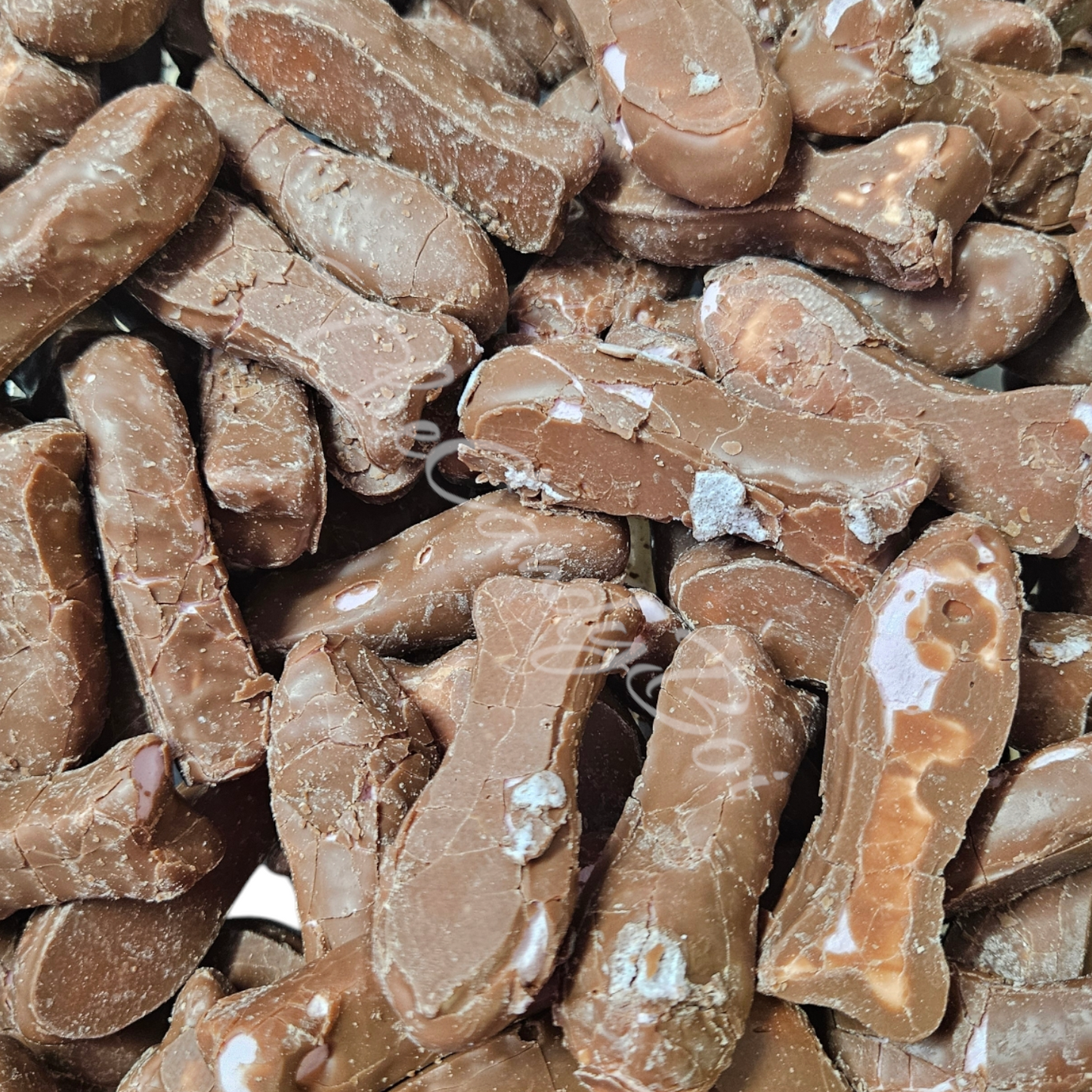 Chocolat Baby Fish (NZ) ye .