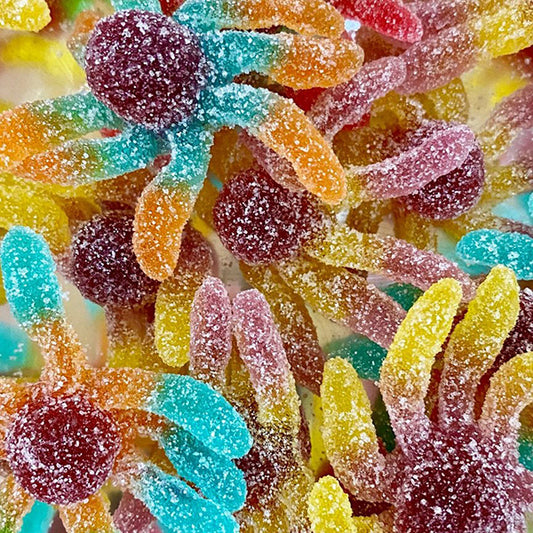 Octopus (Sour)